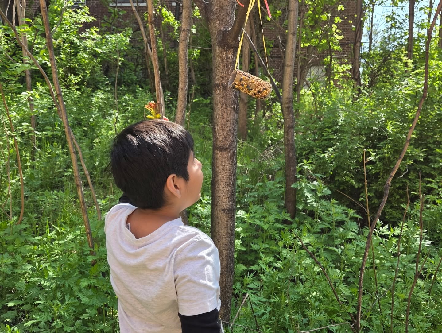 Ms. Heather’s class enjoyed a hands-on activity hanging bird feeders to support our neighborhood birds! 